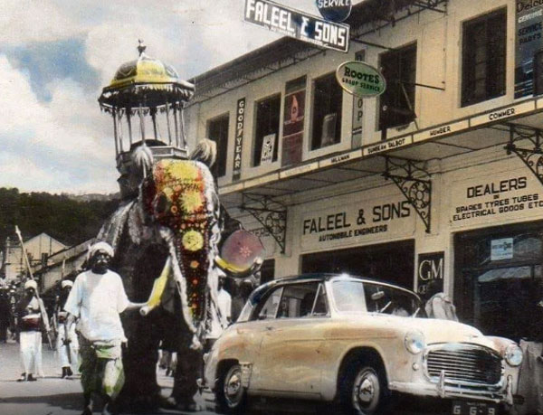 History and About Perahera