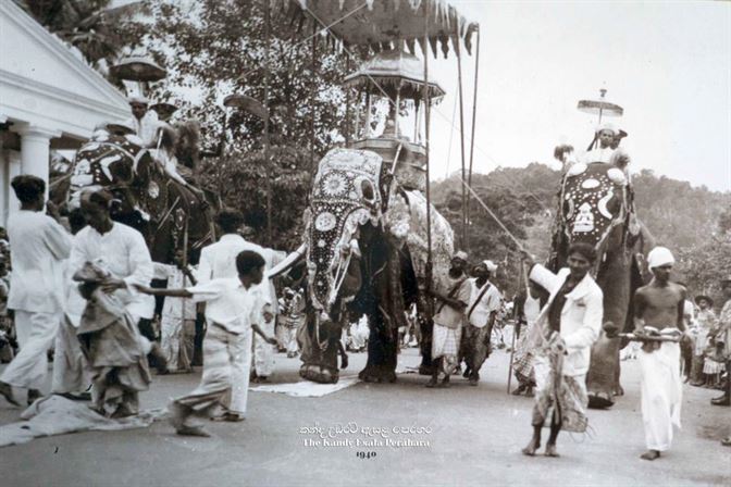 History and About Perahera