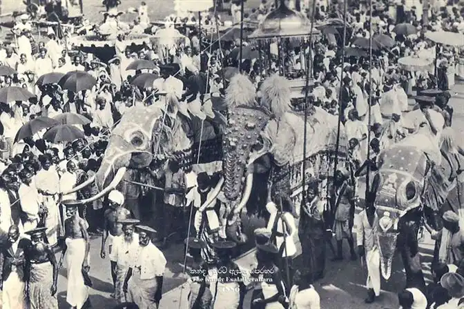 History and About Perahera